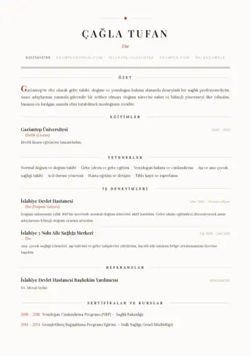 Ebe Cv Örnekleri cv indir